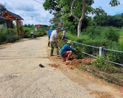 Người dân thôn 3 (xã Ân Phú) trồng cây xanh dọc tuyến đường thôn.
