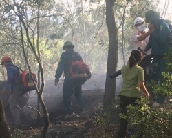 Vụ cháy rừng tại Rú Đỏ huyện Can Lộc ngày 28/6/2021