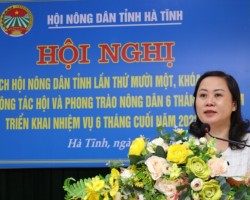 Đ/c Trương Thanh Huyền - Ủy viên Ban Thường vụ, Trưởng ban Dân vận Tỉnh ủy phát biểu tại hội nghị