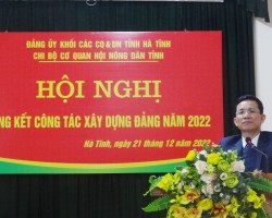 Đồng chí Nguyễn Trọng Vân – Phó Bí thư Đảng ủy Khối các cơ quan và doanh nghiệp tỉnh phát biểu