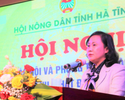 Đồng chí Trương Thanh Huyền - Ủy viên Ban Thường vụ, Trưởng ban Dân vận Tỉnh ủy phát biểu tại hội nghị