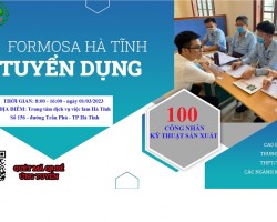 Formosa Hà Tĩnh đang có nhu cầu tuyển dụng 100 lao động có trình độ cao đẳng, trung cấp và lao động phổ thông.