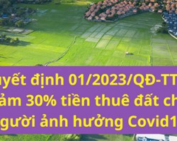 Hà Tĩnh: Giảm 30% tiền thuê đất, thuê mặt nước cho đối tượng bị ảnh hưởng bởi dịch COVID-19