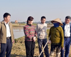 Chủ tịch Hội Nông dân tỉnh thăm đồng xã Thạch Trị huyện Thạch Hà