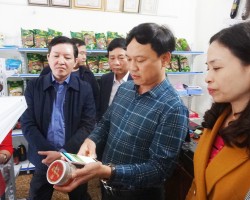 Đồng chí Lương Quốc Đoàn cùng Đoàn cán bộ Trung ương Hội Nông dân Việt Nam thăm Cửa hàng Nông sản an toàn tại thị trấn Phố Châu