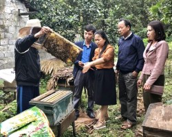 Nhờ được Hội Nông dân xã phối hợp tổ chức dạy nghề, nhiều hộ dân xã Gia Hanh đã nuôi ong lấy mật mang lại hiệu quả kinh tế tốt