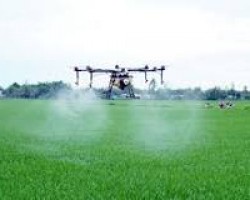 Sử dụng máy bay phun thuốc sẽ nâng cao hiệu quả phòng trừ sâu bệnh cho lúa, đồng thời góp phần bảo vệ sức khỏe cho con người và bảo vệ môi trường
