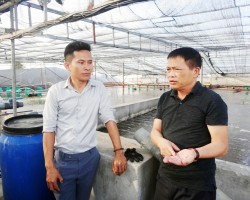 Anh Nguyễn Văn Dũng trao đổi với Phó Ban Tuyên giáo Trung ương Hội Nông dân Việt Nam vể nuôi tôm trong bể xi măng