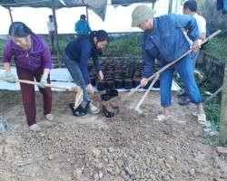 Hội Nông dân xã Tân Hương huyện Đức Thọ xây dựng mô hình vườn ươm cây giống