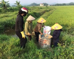 Hội Nông dân xã Sơn Giang chung tay giữ gìn môi trường xanh - sạch - đẹp