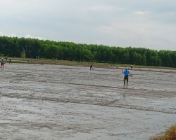 Nông dân Can Lộc sớm hoàn thành thu hoạch lúa xuân, xuống giống hè thu 2024