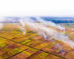 Tìm giải pháp giảm thiểu việc đốt rơm, rạ trên đồng ruộng tại Cẩm Xuyên