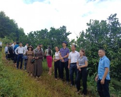Hội Nông dân huyện Vũ Quang sơ kết công tác hội và phong trào nông dân 6 tháng đầu năm 2024