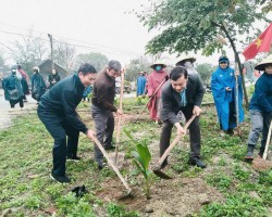Hội Nông dân Thành phố Hà Tĩnh với phong trào trồng và chăm sóc cây xanh