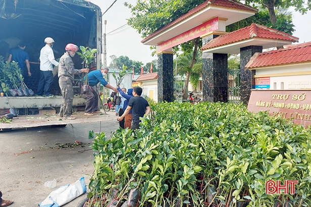 Hội Nông dân tỉnh và ICRAF Việt Nam trao cây giống cho nông dân Hương Sơn.