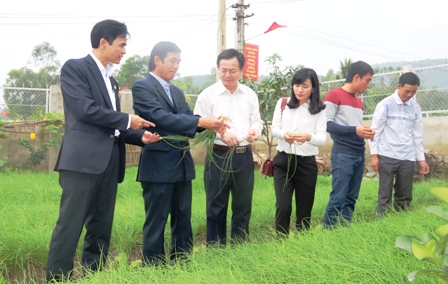Đc Trần Huy Oánh   Chánh văn phòng ĐPNTM tỉnh thăm vườn mẫu hộ ông Nguyễn Văn Anh tại xã Vượng Lộc