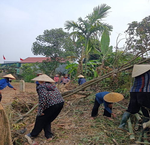 Hình ảnh lao động hỗ trợ phá bỏ vườn tạp tại thôn Ái Quốc
