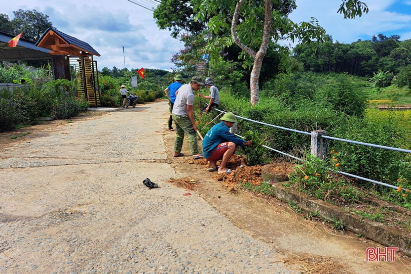 Người dân thôn 3 (xã Ân Phú) trồng cây xanh dọc tuyến đường thôn.