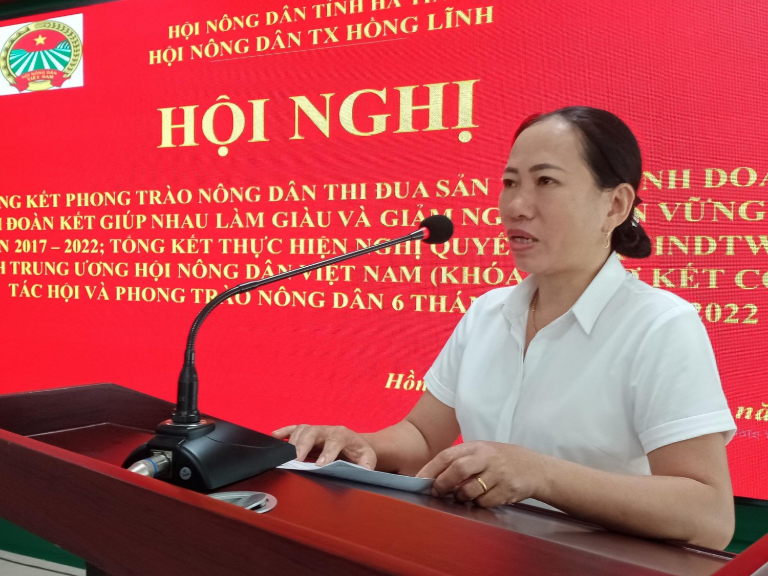 Hộ chị Trần Thị Ngân đại diện các hộ sản xuất kinh doanh tiêu biểu phát biểu tại hội nghị