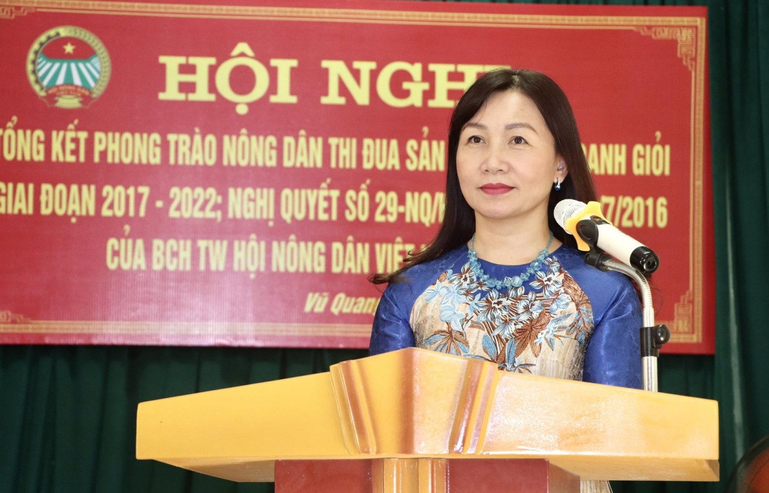 Đc Nguyễn Thị Mai Thủy, TUV, Chủ tịch HND tỉnh phát biểu chỉ dạo