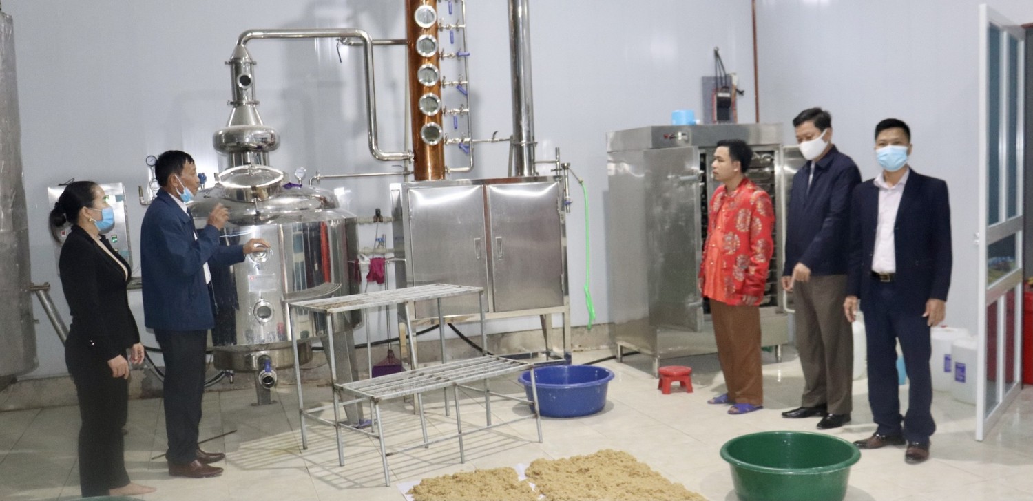 Nhà xưởng sản xuất rượu truyền thống Golden Rice của HTX Minh Lương