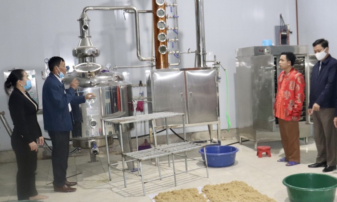 Dây chuyền sản xuất rượu của Hợp tác xã Minh Lương