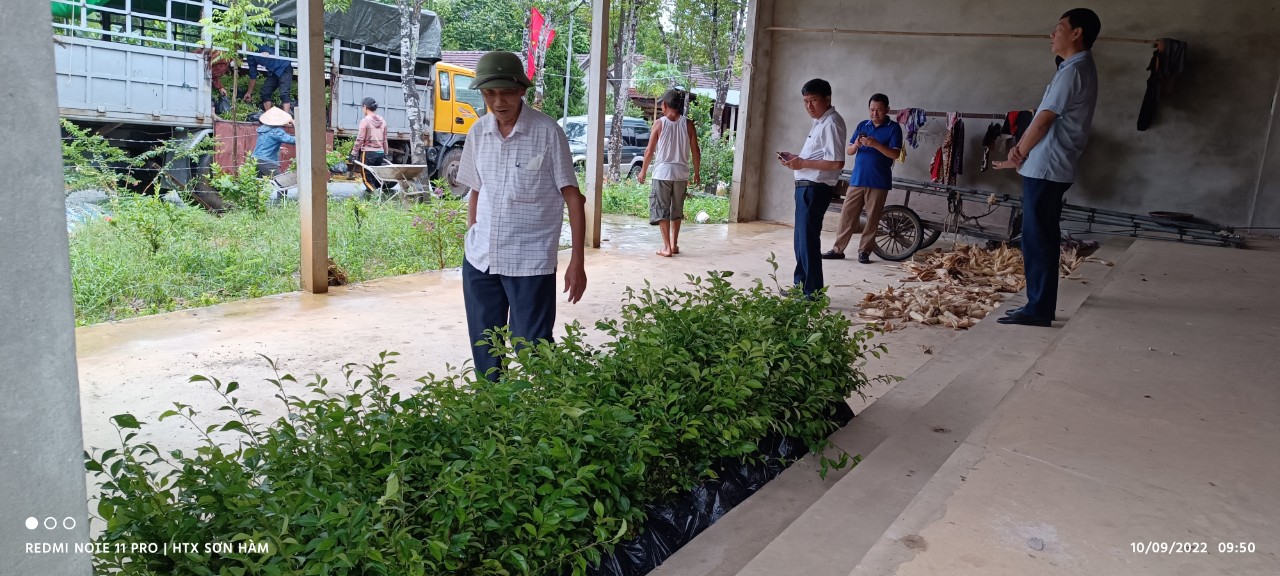 Đồng chí Trần Trung Thành – Phó Chủ tịch Thường trực Hội Nông dân tỉnh tại buổi bàn giao cây giống