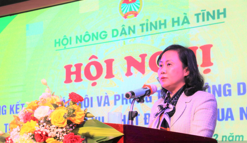 Đồng chí Trương Thanh Huyền - Ủy viên Ban Thường vụ, Trưởng ban Dân vận Tỉnh ủy phát biểu tại hội nghị