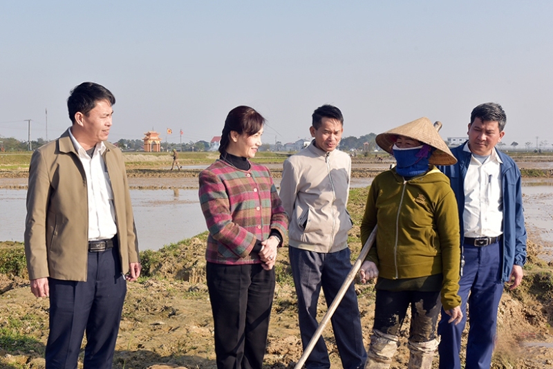 Chủ tịch Hội Nông dân tỉnh thăm đồng xã Thạch Trị huyện Thạch Hà