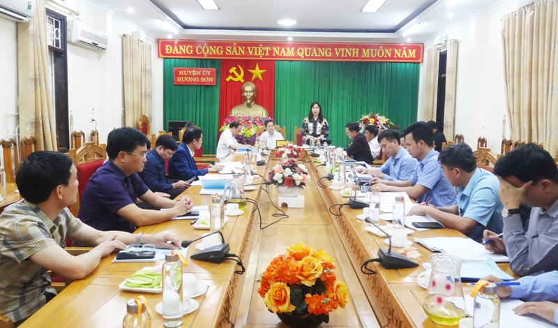 Đồng chí Nguyễn Thị Mai Thủy - Tỉnh ủy viên, Chủ tịch Hội Nông dân tỉnh phát biểu tại buổi làm việc