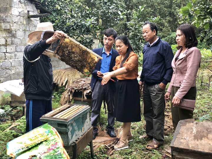 Nhờ được Hội Nông dân xã phối hợp tổ chức dạy nghề, nhiều hộ dân xã Gia Hanh đã nuôi ong lấy mật mang lại hiệu quả kinh tế tốt