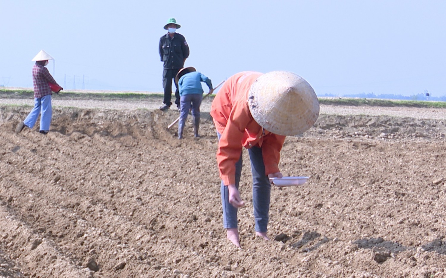 Hình ảnh lao động của hội viên nông dân