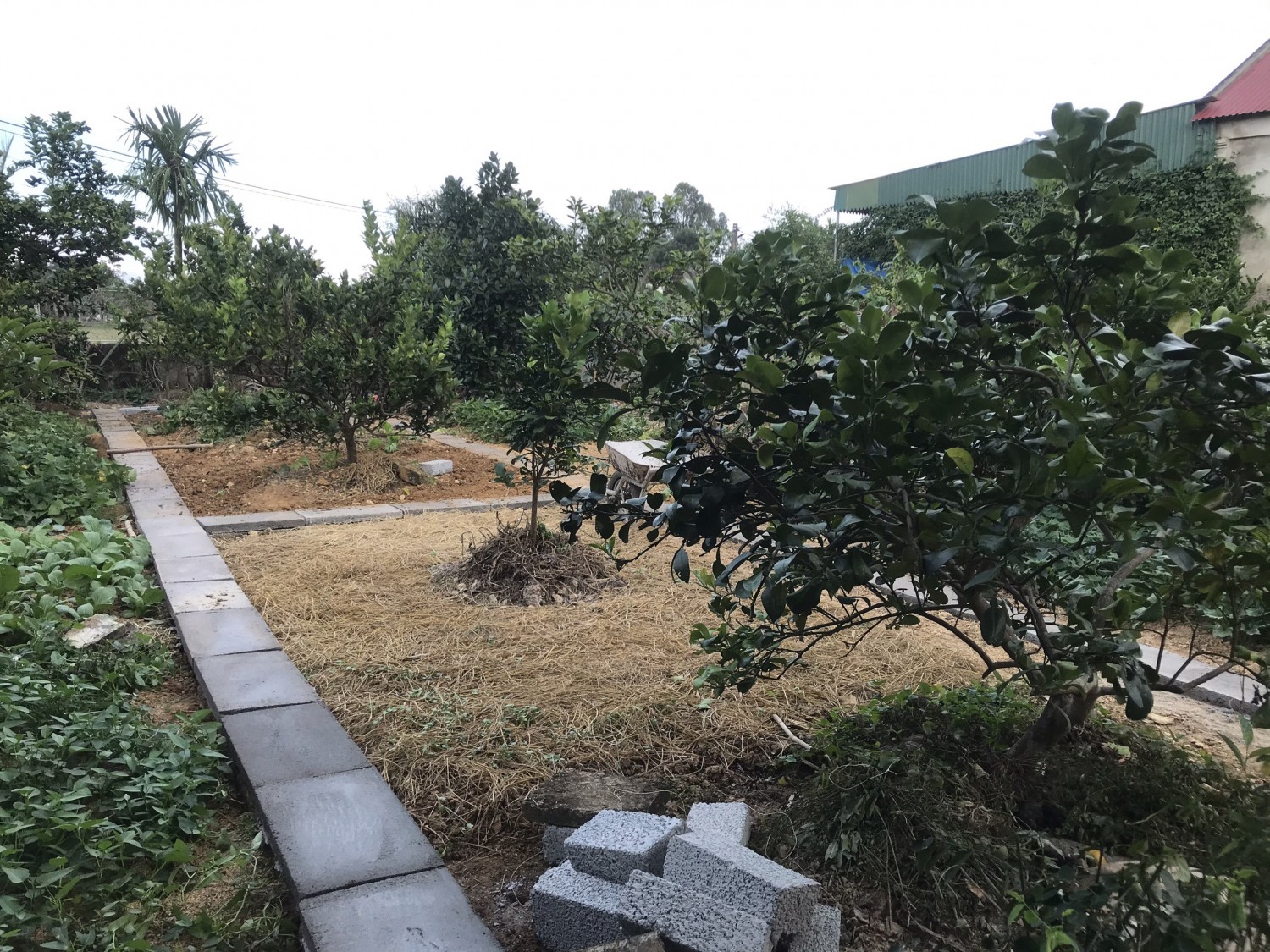 Vườn mẫu tại xã Trung Lộc