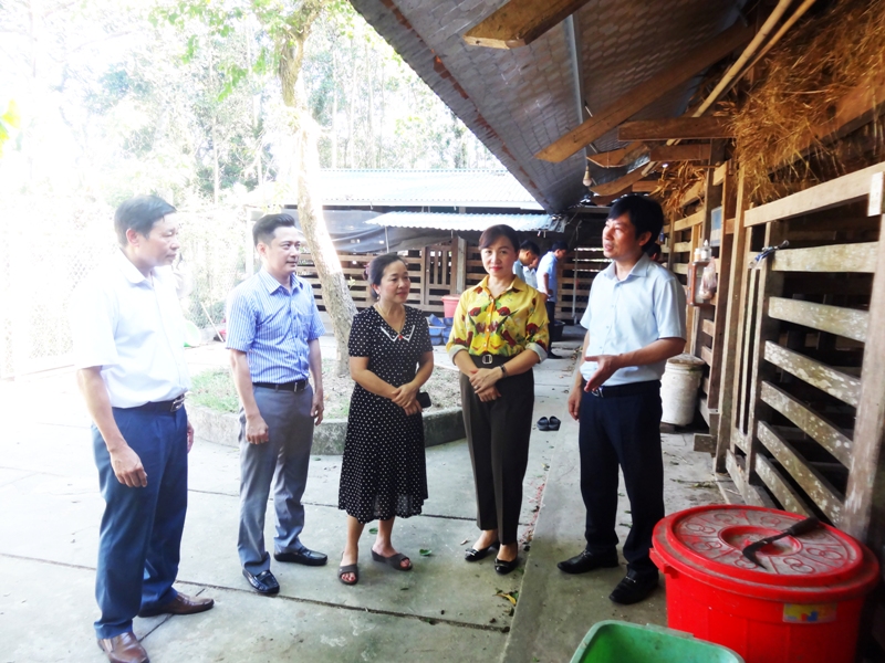 Bà Chu Thị Hồng Hà (người đứng giữa) nói về kinh nghiệm nuôi hươu với Đoàn công tác của Trung ương Hội Nông dân Việt Nam và Hội Nông dân tỉnh Hà Tĩnh