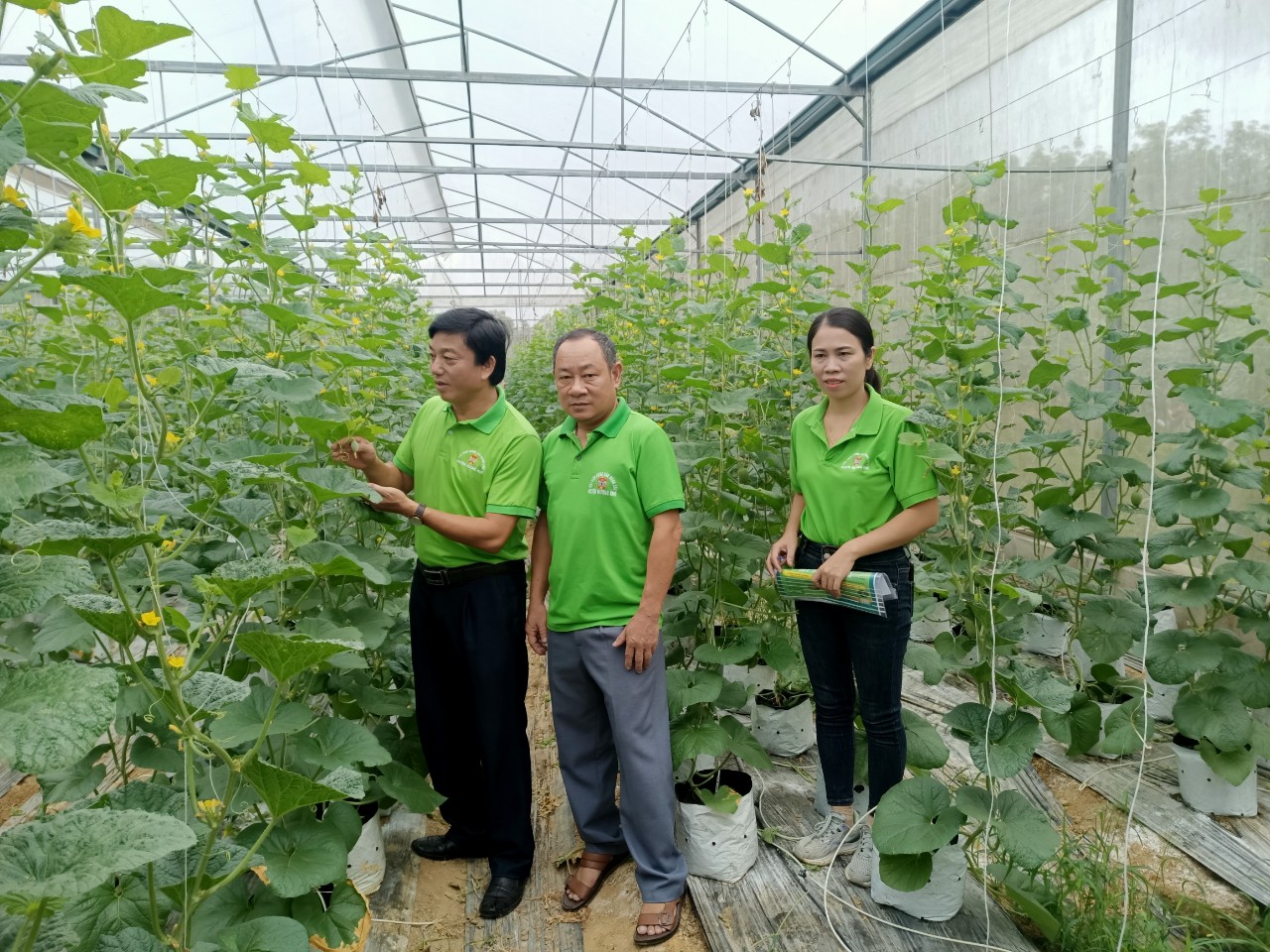 HND huyện, xã thăm mô hình trồng dưa lưới công nghệ cao của hộ ông Phạm Mạnh Hùng xã Hương Trà