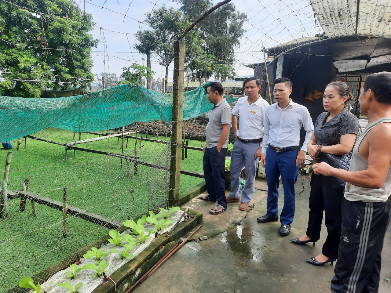 Đoàn giám sát kiểm tra mô hình nuôi ốc bươu thương phẩm tại phường Trung Lương