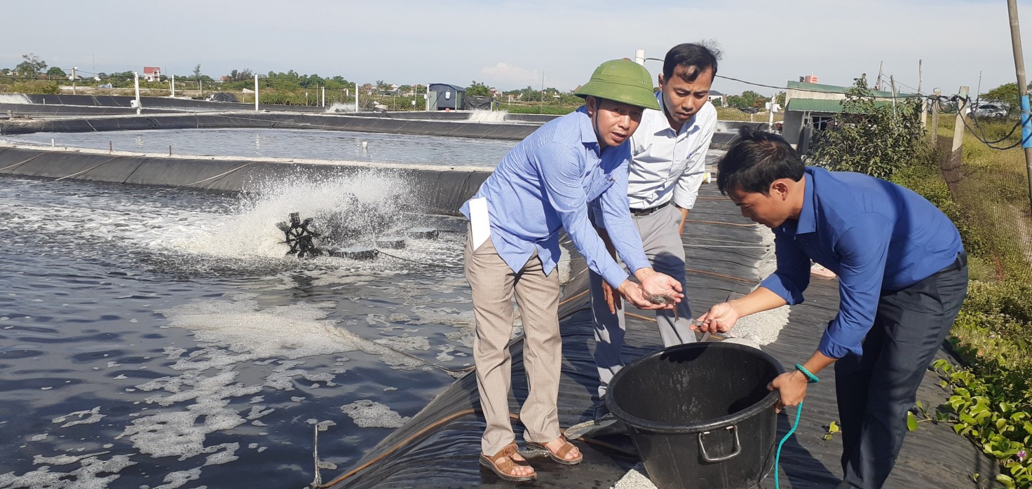 Lãnh đạo HND huyện thăm mô hình nuôi tôm của hộ ông Trần Văn Ân, thị trấn Lộc Hà