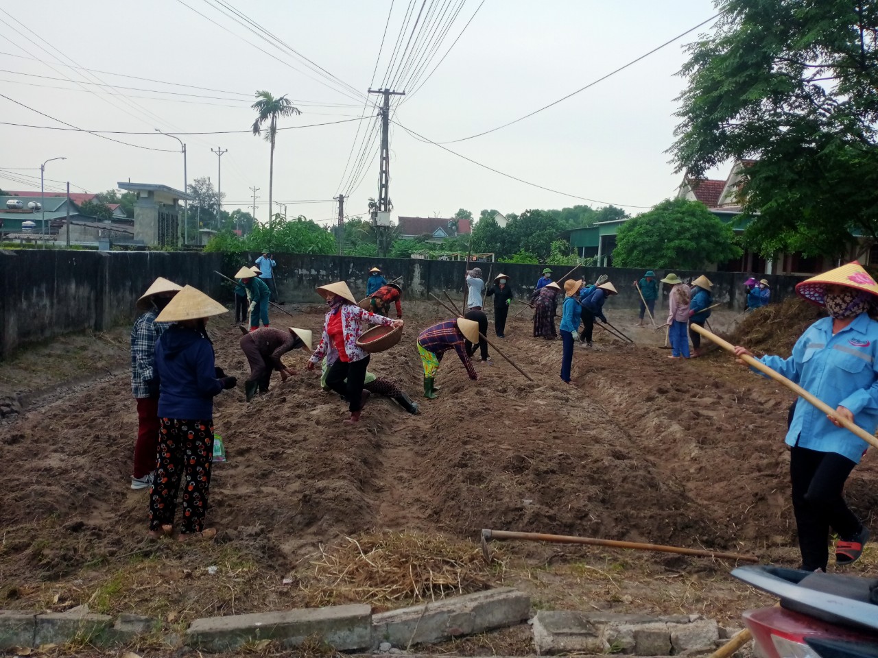 BCH Hội Nông dân xã Yên Hòa huyện Cẩm Xuyên cùng hội viên chi hội Nông dân thôn Đông Hòa giúp các hộ cải tạo vườn