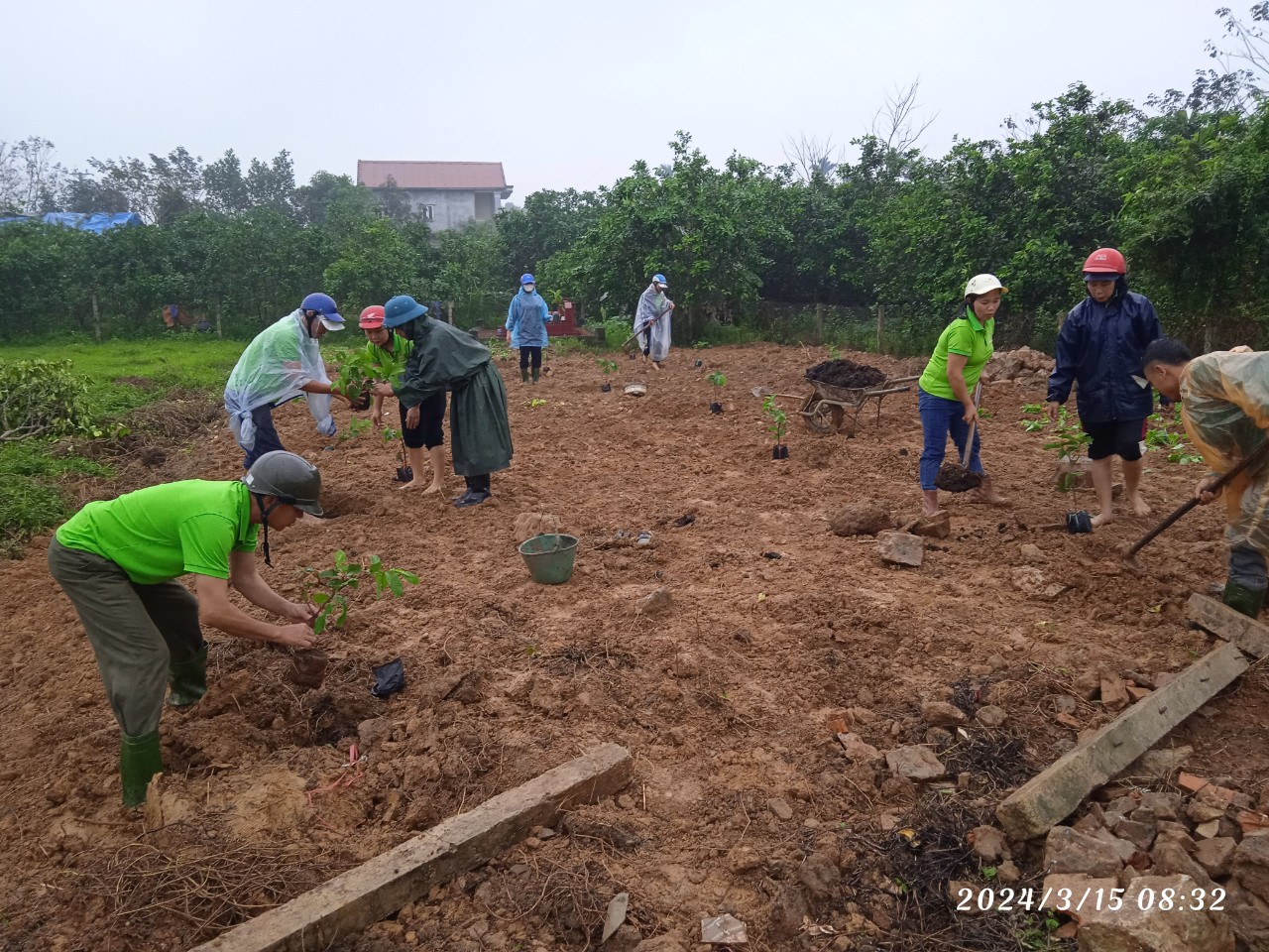 BCH HND xã Phú Phong giúp trồng ổi hữu cơ cho hộ khó khăn (mô hình dân vận khéo)