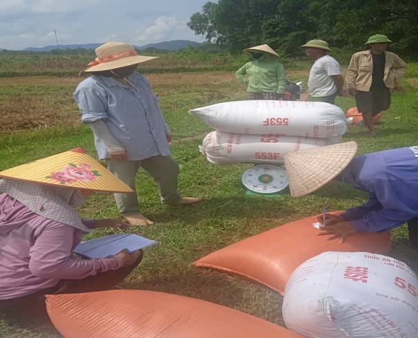 Hội viên nông dân xã An Dũng phấn khởi lúa được mùa, được giá