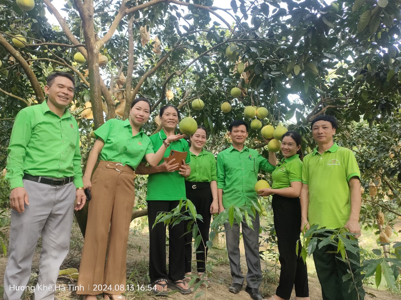 Hội Nông dân huyện Hương Khê phối hợp tổ chức thành công Hội nghị đầu bờ đánh giá hiệu quả mô hình trồng bưởi Phúc Trạch