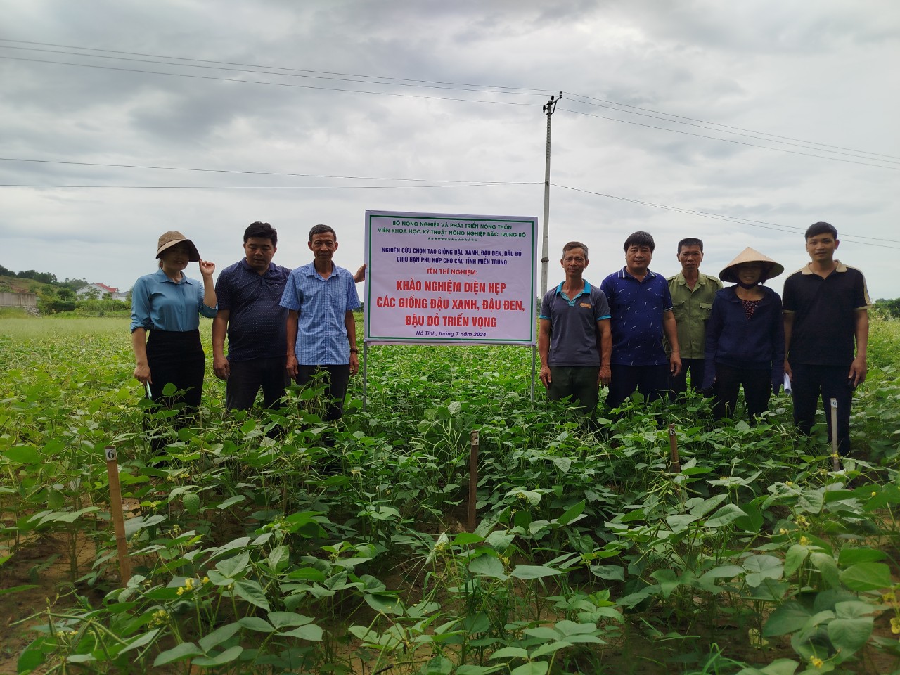 Vũ Quang tổ chức hội thảo tổng kết mô hình trồng thử nghiệm một số giống ngắn ngày