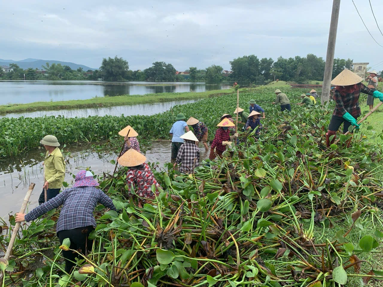 Hội Nông dân xã Yên Hồ tích cực phối hợp triển khai các hoạt động hỗ trợ nông dân bị bão lũ