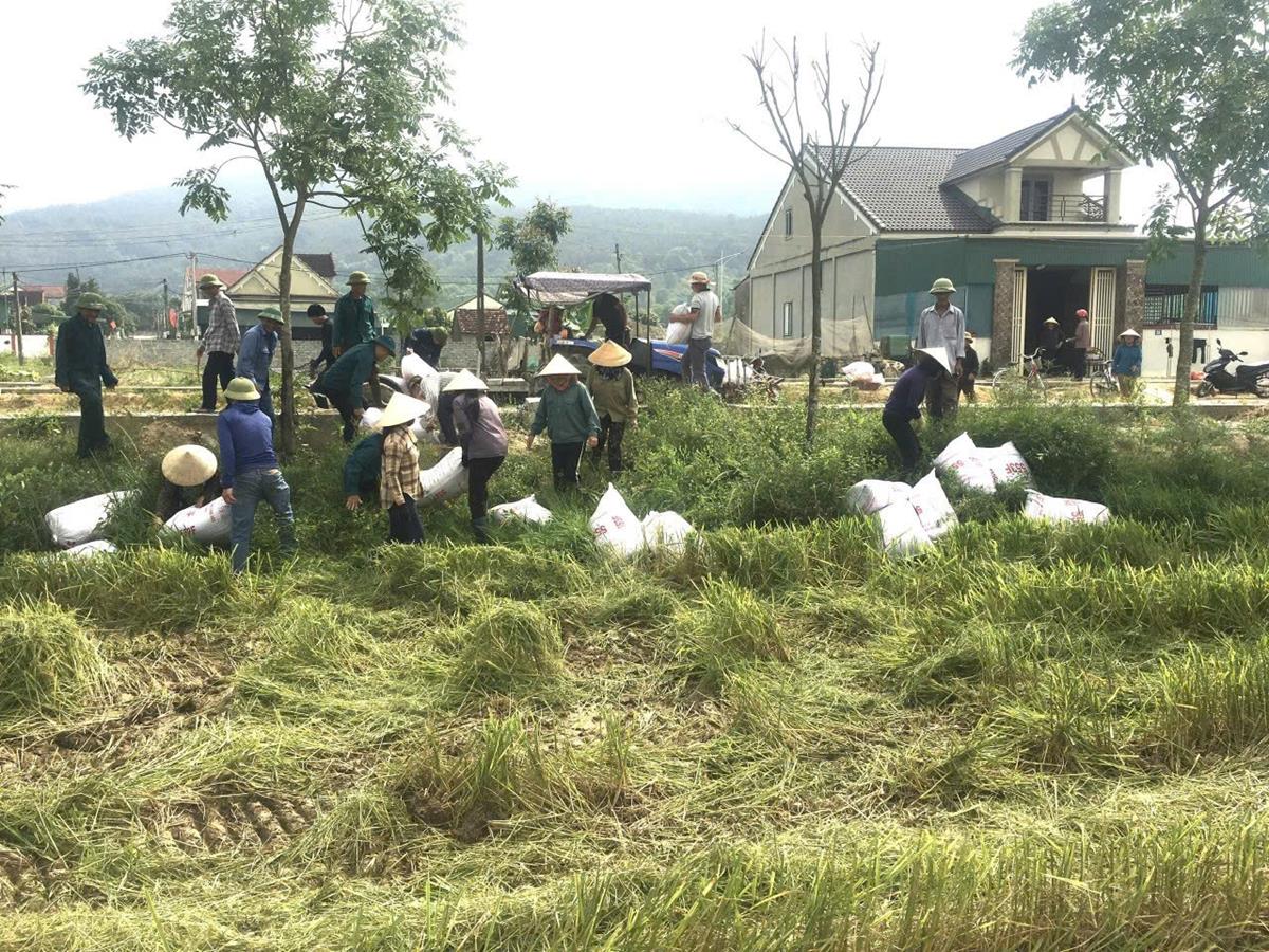 Chi Hội Nông dân phường Đậu Liêu - thị xã Hồng Lĩnh với mô hình gây quỹ hoạt động