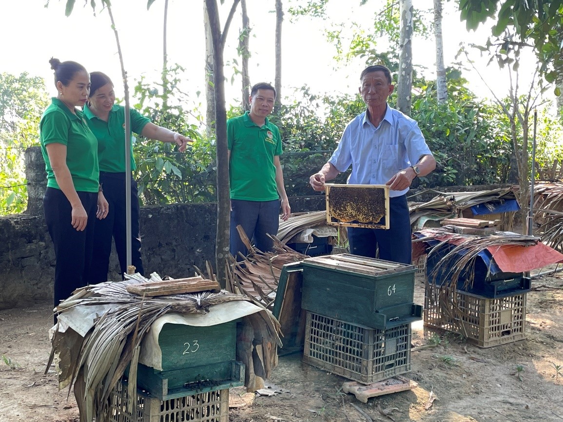 Mô hình nuôi ong lấy mật của ông Thái Xuân Hạnh, phường Đậu Liêu