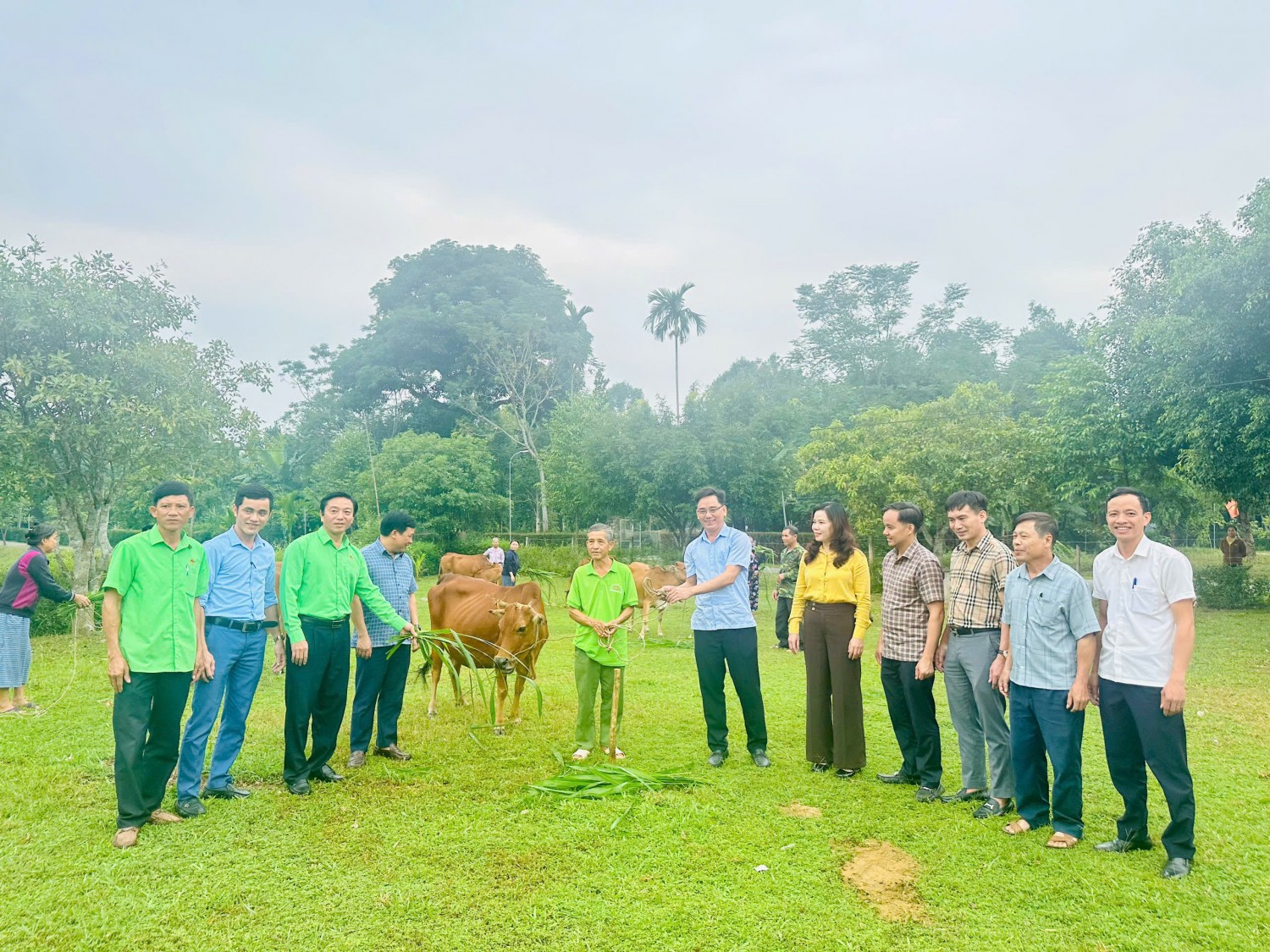 Trao hỗ trợ 15 con bò nái sinh sản tạo sinh kế thoát nghèo bền vững tại huyện Hương Khê