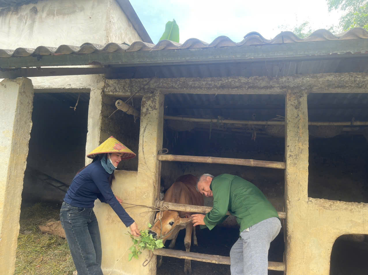 Hội Nông dân xã Cẩm Minh phát huy vai trò phối hợp tuyên truyền, rà soát tiêm vắc xin phòng bệnh gia súc, gia cầm năm 2025