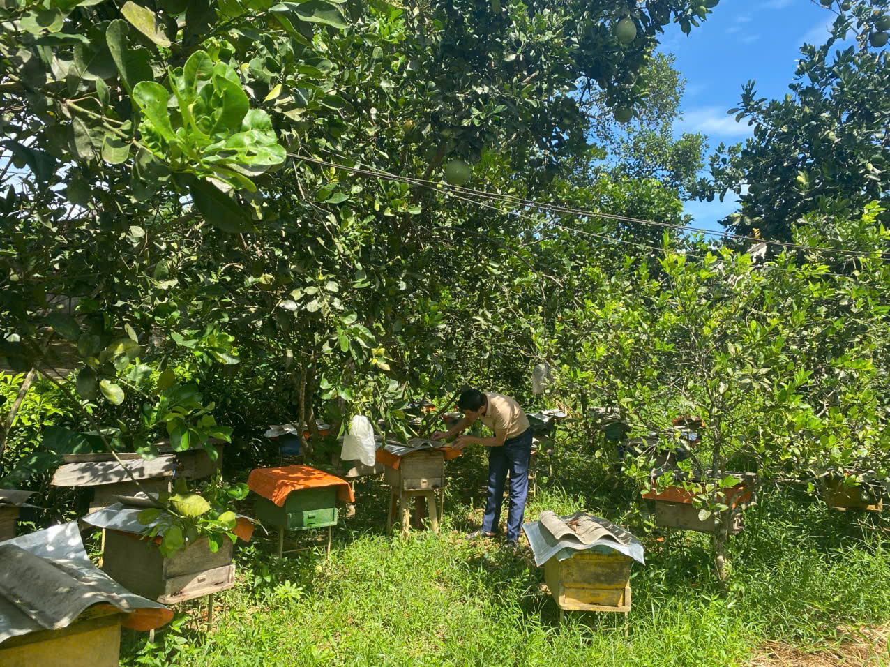 Hội Nông dân xã Kim Hoa với nhiều hoạt động chào mừng Đại hội Đảng các cấp