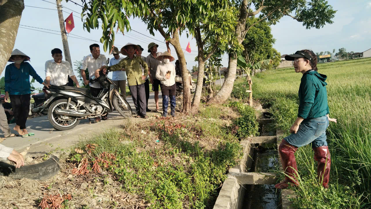 Hội Nông dân Hà Tĩnh đồng hành cùng hội viên chăm sóc lúa hè thu, ứng phó sâu bệnh