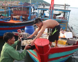 Phóng Sự Biển: Sức sống mới của ngư dân Hà Tĩnh